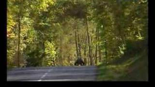 Bike Test KAWASAKI Z 750 Bike Test KAWASAKI Z 750