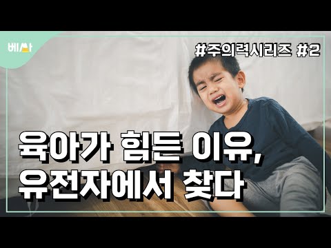 애 한 명 키운다면, 꼭 알아야 맘이 편해지는 기질 지식 || 주의력 2편