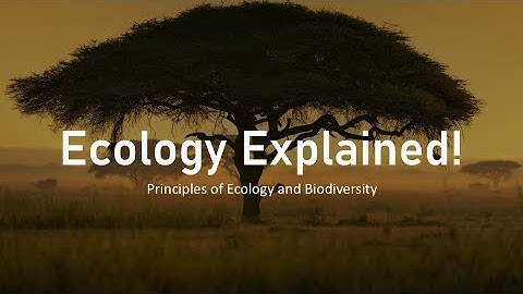 Ecology Explained: Understanding Biodiversity, Environment, Biotic & Abiotic Factors