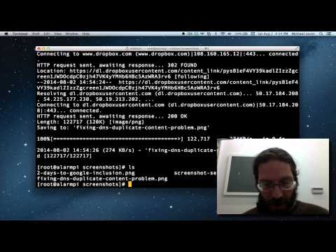 Fixing DNS Duplicate Content Problem in Google