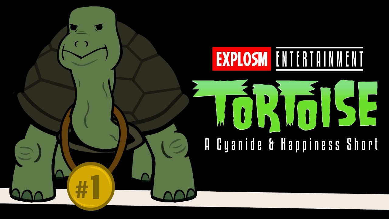 ⁣Tortoise (in Groot) - C&H Saturday Specials