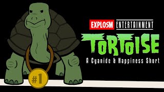 Tortoise (in Groot) - C&H Saturday Specials