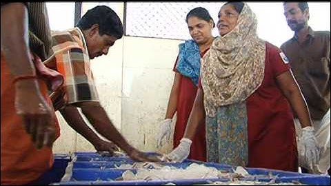 CIFT-Video film on SeaFresh(Fresh FIsh Sales)-01