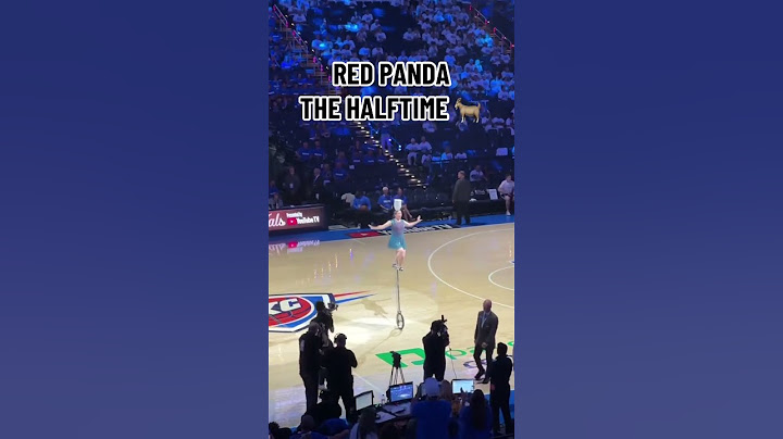 Red Panda at the NBA Finals 🐐