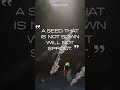 Do not fear failure, because even the strongest trees once began as tiny seeds. #shorts