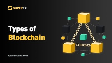 Blockchain Explained: Public vs. Private - Which One Is For You?