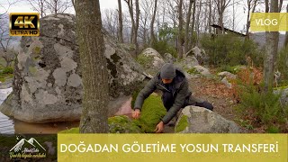 Doğadan Göletime Yosun Ve Bitki Transferi Vlog