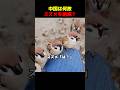 中国は何故スズメを絶滅?
