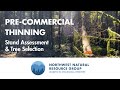 Pre-Commercial Thinning - Stand Assessment &amp; Tree Selection