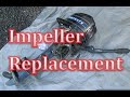 Mercury Impeller Replacement Repair the Water Pump 4 5 6 7 8 9 hp horse Power Outboard Motor