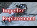 Mercury Impeller Replacement Repair The Water Pump 4 5 6 7 8 9 Hp Horse Power Outboard Motor Mercury Impeller Replacement Repair The Water Pump 4 5 6 7 8 9 Hp Horse Power Outboard Motor