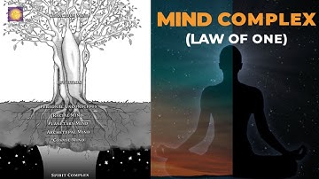 The Hierarchical Structure Of Your Mind Complex From Cosmic To Conscious | Law of One