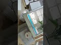 Zemismart Zigbee mini Switch Work with Smarttings new app