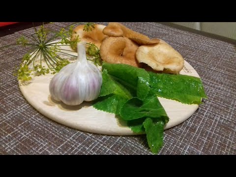 Как посолить волнушки холодным способом в домашних условиях вкусно