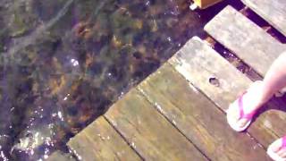 boat 1 010.AVI