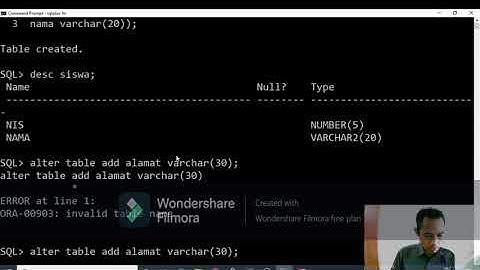 Belajar DDL Database Oracle