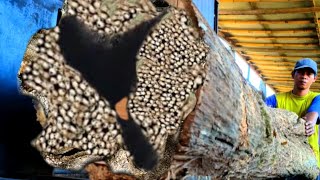 Gosh it turns out there's something surprising inside the wood