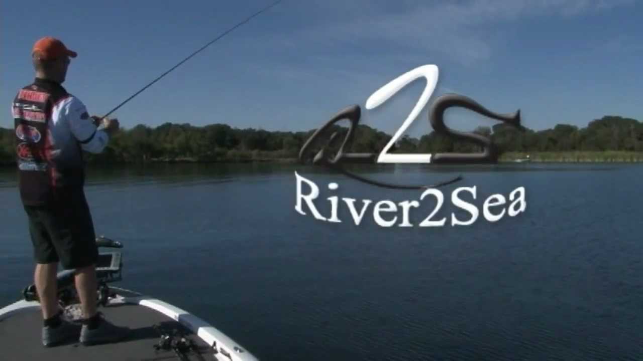 The Whopper Plopper Unique Sounds - YouTube