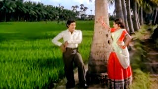 Sobhan Babu, Jayaprada Superhit Song - Radha Krishna Movie Video Songs | Telugu Movie Songs