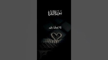 اكتب شيء تؤجر عليه 😴🤍 قران كريم | ياسر الدوسري