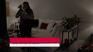 Bass Trumpet Sound Comparison