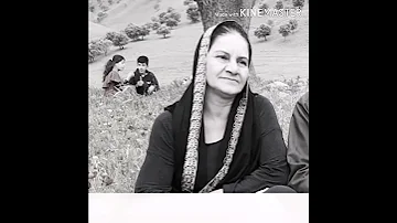 دايه گيان بيرت ئه كه م 