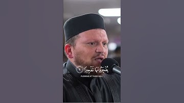 تلاوة هادئة من سورة الإنسان من السادسة إلى الثامنة للشيخ إبراهيم بكير