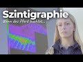Wenn das Pferd leuchtet...☢️ Ursachenforschung mit der Szintigraphie 🐴