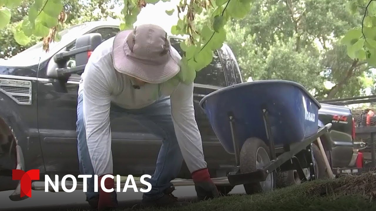 El calor extremo en Texas impacta la salud de trabajadores | Noticias Telemundo