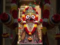 Jagannath Chakanayan | #whatsappstatus #jagannathbhajan #trending #ai #shorts #bhabarathakura