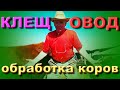 Как обработать коров от клеща что лучше эффективнее Бажениты