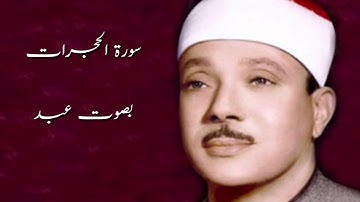 سورة الحجرات من 10 الى 13