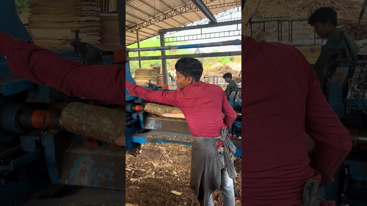 Wood debarking working big machine part 101