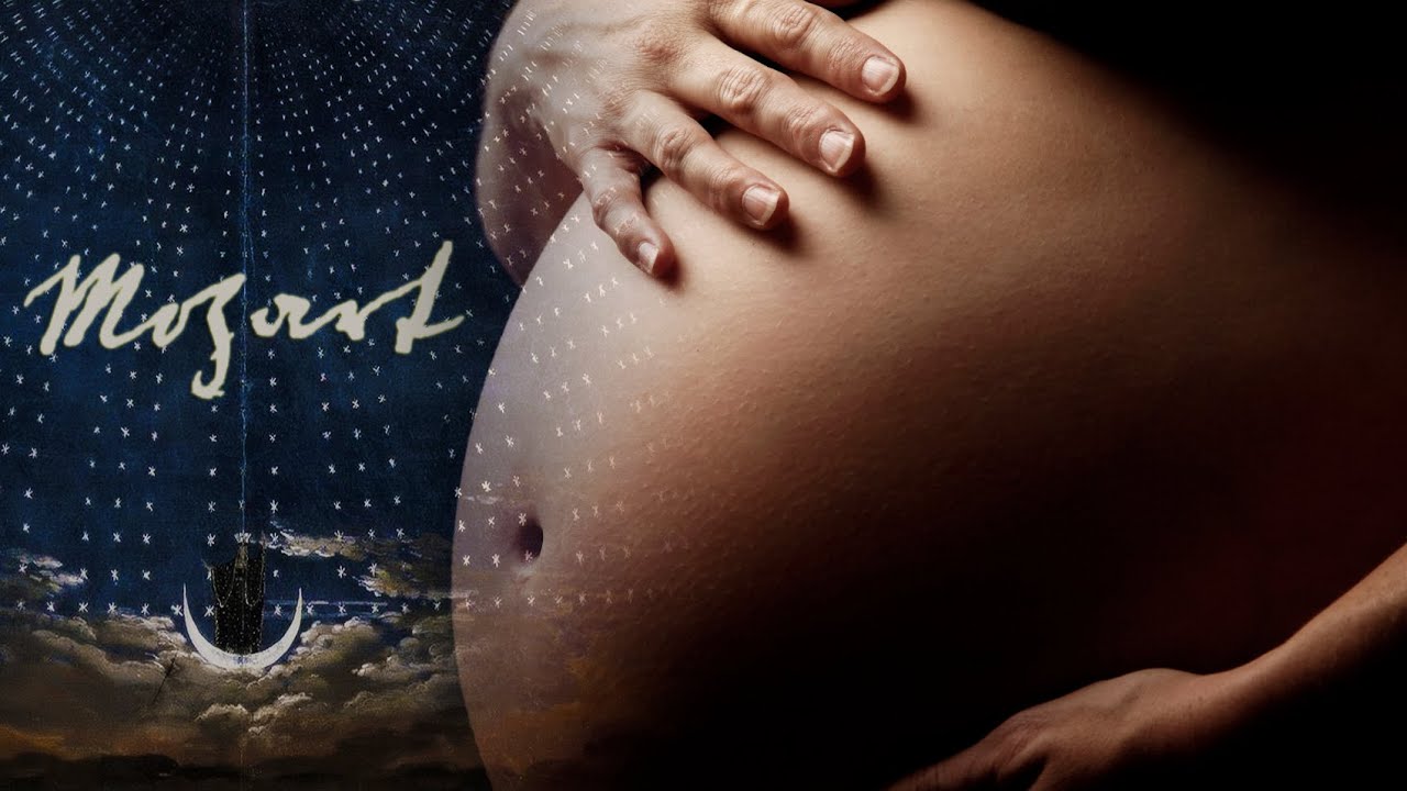 descargar musica para bebes en el vientre descargar musica para bebes en el vientre
