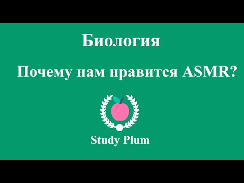 Биология - Почему нам нравится АСМР? | Рубрика "С точки зрения..."