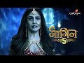 Naagin 5 | नागिन 5 | Will Lord Shiva Kill Markat? | Promo