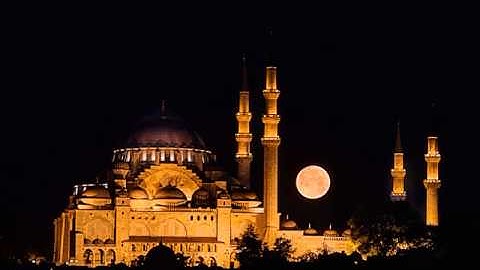 سورة الأحقاف 21 - 35