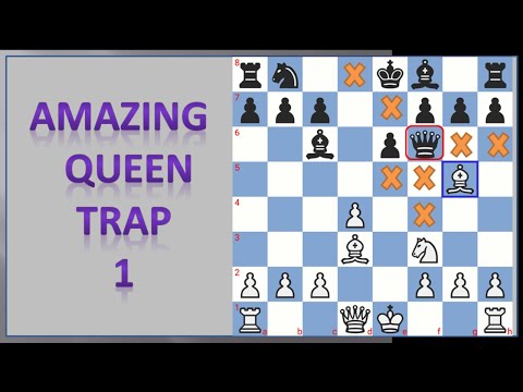 Amazing  Queen  trap 1