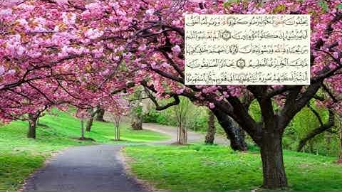 صفحة-197 page سعد الغامدي - -سورة التوبة -09--Le repentir (At-Tawbah) )