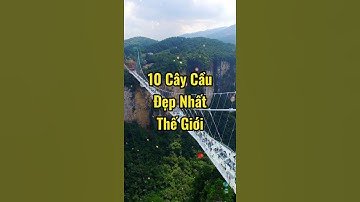 Top 10 cây cầu đẹp nhất Thế giới