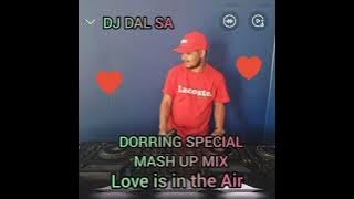 DJ DAL SA DIE DORRING (DORRING SPECIAL MASH UP MIX) LOVE IS IN THE AIR