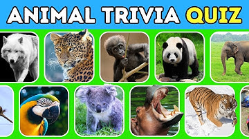 Animal Trivia Quiz 🐾 50 Quiz Questions and Answers about Animals