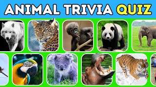 Animal Trivia Quiz 🐾 50 Quiz Questions and Answers about Animals