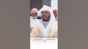 القارئ ياسر الدوسري  | ارح سمعك.. تلاوة هادئة تريح القلب والعقل💙🎧