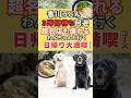 超人気うどん店をワンちゃんと満喫!行列ゼロの秘密コース