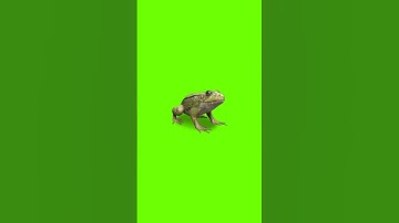 3D Green screen effect video# Black screen effect Video # kinemaster effect video#Shorts