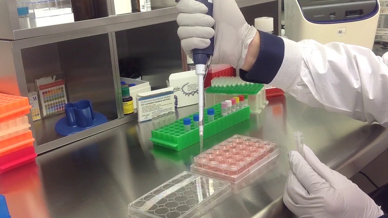 Altogen Biosystems In Vitro IRR-MRC-5 Transfection Tutorial - YouTube