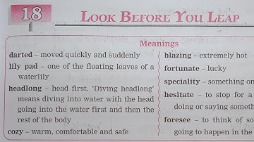 3rd STD English Workbook Chp 18 Look Before You Leap @omeducation8606