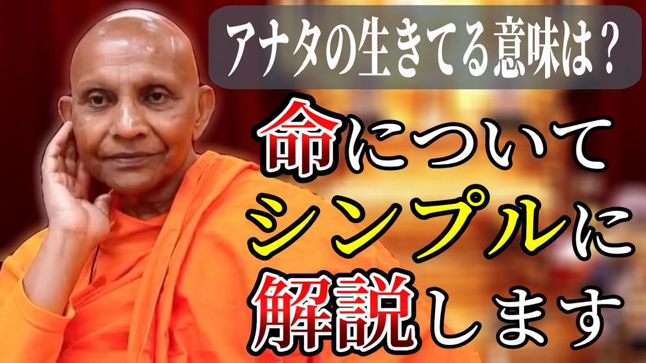 生きる意味は？命の仕組みを簡単に分かり易く解説します【スマナサーラ長老切り抜き】