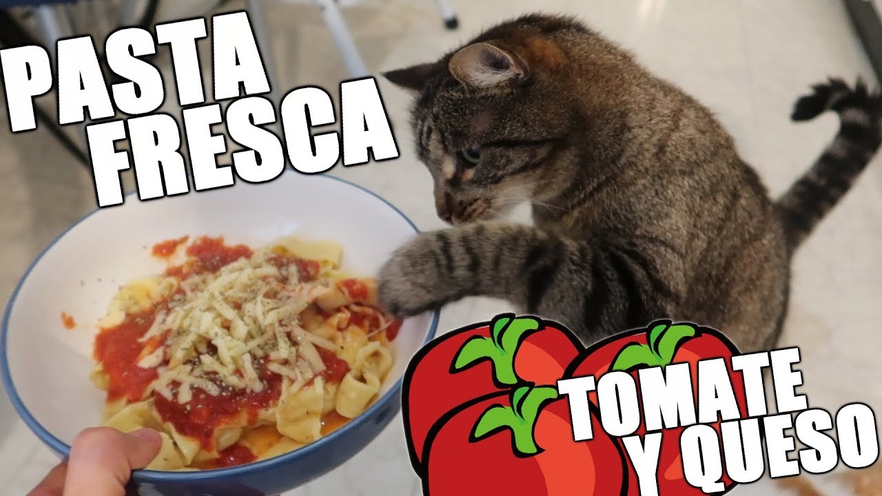 ⁣HAGO PASTA FRESCA CON TOMATE Y QUESO